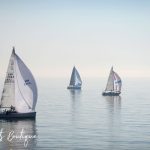 Peaceful Sailboats