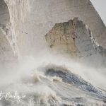The Longest Wave | The Prints Boutique